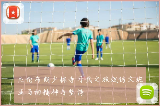 杰伦布朗少林寺习武之旅效仿文班亚马的精神与坚持