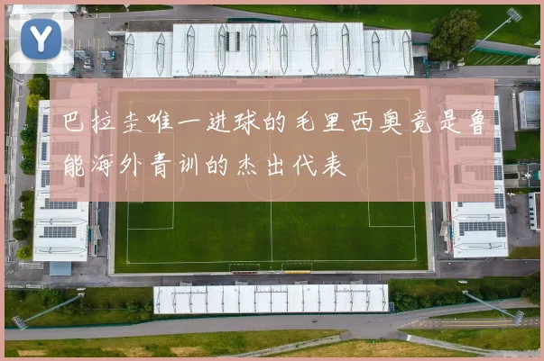 巴拉圭唯一进球的毛里西奥竟是鲁能海外青训的杰出代表