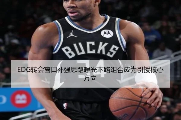 EDG转会窗口补强思路曝光下路组合成为引援核心方向